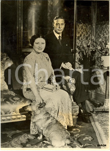 Fotografia d epoca originale 1948 LONDON UK Queen Elizabeth King George VI dog CRACKERS Silver WEDDING Photo 1