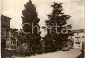 Cartolina originale da collezione 1960 ca PONDERANO BI Giardino pubblico con Latteria DANNEGGIATA Cartolina FG 1