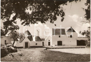Cartolina originale da collezione 1955 ca MARTINA FRANCA TA Masseria PIZZO RUSSO Panorama Cartolina FG NV 1