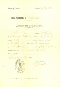Documento originale, autentico 1912 SAONARA PD Atto di nascita di Noemi BELLINI Documento 1