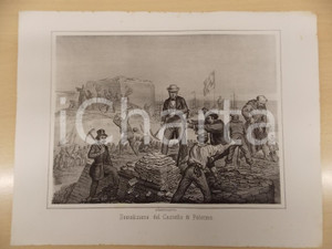 Stampa, bozzetto originale 1861 GUERRA D ITALIA Demolizione del Castello di PALERMO Stampa F.lli TERZAGHI 1
