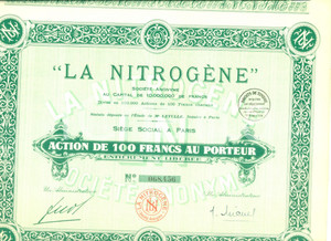 1928 PARIS Société Anonyme LA NITROGENE Action 100 francs au porteur Certificato