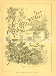Oggetto da collezione cartaceo 1892 Josef BAYER Wie Ihr wollt! Ein kleines Potpourri Spartito ILLUSTRATO 1