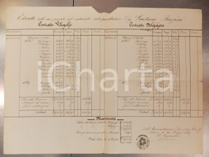 Documento originale, autentico 1869 VIDIGULFO PV Canoni Gaetano BAZZINI su contratto BELGIOIOSO Documento 1