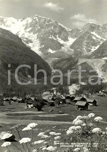 Cartolina originale da collezione 1952 MACUGNAGA VB Veduta panoramica della frazione PECETTO Cartolina FG VG 1