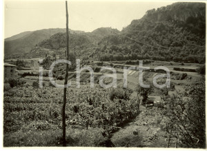 Fotografia d epoca originale 1932 BERGAMO Coltivazioni lungo Strada Statale 42 del TONALE e MENDOLA Foto 1