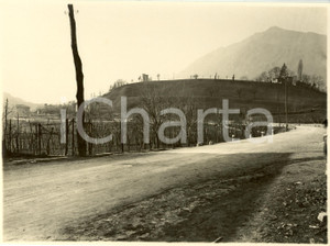Fotografia d epoca originale 1932 BERGAMO Strada Statale nÂ°42 del TONALE e della MENDOLA tra i vitigni Foto 1