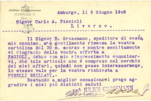 Cartolina originale da collezione 1905 HAMBURG DE Julius GROSSMANN non tratta piselli brillanti Cartolina FP VG 1