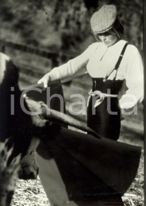 Fotografia d epoca originale 1984 USA Cinema Bo DEREK affronta un toro in arena  Film BOLERO Foto di scena 1