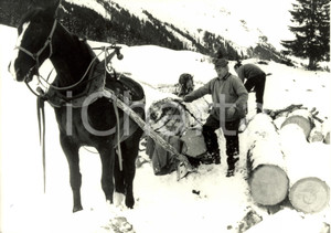 Fotografia d epoca originale 1985 SVIZZERA Cavallo meglio del trattore... trasporta tronchi sulla neve Foto 1