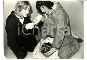 Fotografia d epoca originale 1988 DOCKING UK Penny piccola foca colpita da virus viene curata Fotografia 1