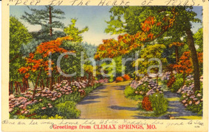 Cartolina originale da collezione 1942 CLIMAX SPRINGS, MISSOURI USA Veduta del parco Cartolina ILLUSTRATA FP VG 1