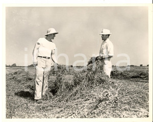 Fotografia d epoca originale 1950 ca USA Due ufficiali raccolgono sterpaglie in una base Foto 23x17 cm 1