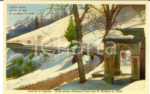Cartolina originale da collezione 1940 VIGEZZO VB Sulla strada MALESCOFINERO con MONTE GRIDONE Cartolina FP 1