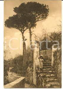Cartolina originale da collezione 1920 ca ANACAPRI NA Sulla via della MIGLIARA Cartolina ILLUSTRATA VINTAGE 1