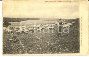Cartolina originale da collezione 1904 BRIGHTON UK The Downs Cartolina postale VINTAGE ANIMATA FP VG 1