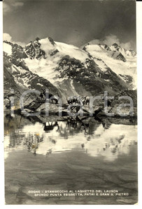 Cartolina originale da collezione 1958 COGNE AO Stambecchi al laghetto del LAUSON Cartolina postale FP VG 1