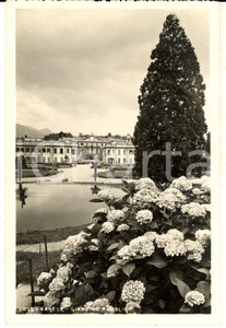 Cartolina originale da collezione 1941 VARESE Veduta del giardino pubblico Cartolina postale FP VG 1