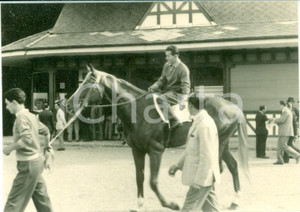 Fotografia d epoca originale 1963 MILANO SAN SIRO Ippodromo del trotto Il cavallo SORTILEGE si prepara Foto 1