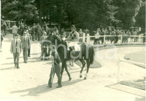 Fotografia d epoca originale 1963 MILANO SAN SIRO Fantino Fernando JOVINE cavallo VERONESE Foto cm 10 x 7 1