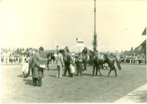 Fotografia d epoca originale 1963 MILANO Ippodromo trotto Fantini Antonio DI NARDO e JOVINE Foto cm 10 x 7 1