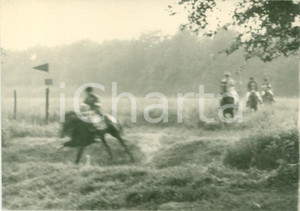 Fotografia d epoca originale 1963 TREVIGLIO BG Cavalli al galoppo al Parco del ROCCOLO Fotografia cm 10 x 7 1