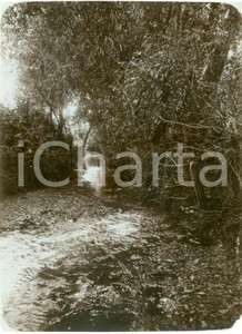 Fotografia d epoca originale 1918 GRECHOWO POLAND WWI Ruscello che scorre tra TAGANROG e il CAUCASO Foto 1