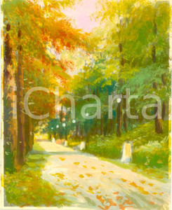Fotografia d epoca originale 1950 ca GARGANO FG Un viale della Foresta Umbra Fotografia COLORATA A MANO 1