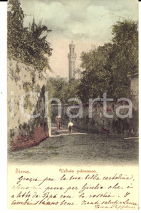 Autografo originale 1902 SIENA Veduta pittoresca Autografo contessa Peppina LOVERA al fratello 1