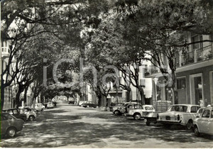 Cartolina originale da collezione 1967 LAVAGNA GE Corso Giuseppe MAZZINI con FIAT 500 e APE Cartolina FG VG 1