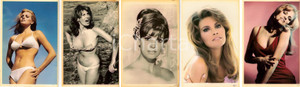 Fotografia d epoca originale 1965 ca CINEMA Raquel WELCH in bikini Ritratti LOTTO 5 Fotografie seriali 1