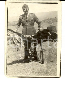 Fotografia d epoca originale 1940 ca AOI AMBA ALAGI ETIOPIA Militare esibisce un aquila uccisa Foto 7x9 1