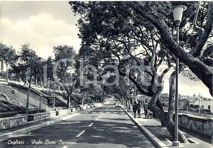 Cartolina originale da collezione 1963 CAGLIARI Passanti lungo il viale BUON CAMMINO Cartolina FG VG 1
