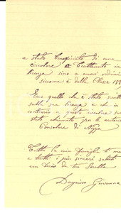 Manoscritto, lettera originale 1919 NIZZA F Giovanna DAGNINO si rallegra per la licenza del figlio Lettera 1