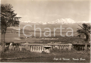 Cartolina originale da collezione 1952 VARESE Panorama con il lago e il Monte ROSA Cartolina postale FG VG 1
