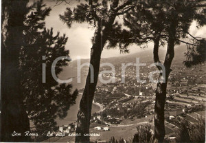 Cartolina originale da collezione 1950 ca SANREMO IM Scorcio panoramico attraverso gli alberi Cartolina FG NV 1