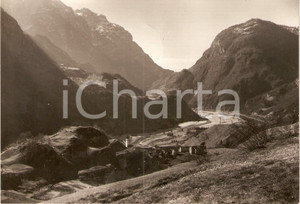 Cartolina originale da collezione 1952 OSPITALE DI CADORE BL Panorama della valle Cartolina postale FG VG 1