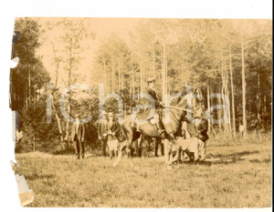 Fotografia d epoca originale 1900 ca AREA LOMBARDA Gentiluomini a una battuta di caccia Foto 15x11 cm 1