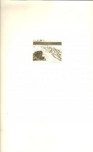 Opera d’arte autentica 1985 ca Cristina PISANI Serigrafia NUMERATA tecnica a spruzzo cm 25x35 AUTOGRAFA 1