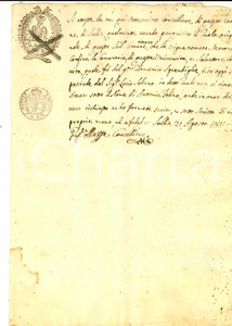 Documento originale, autentico 1811 SELLIA CZ Certificato proprietÃ  Lucio SALERNO per vigna MARONICO 1