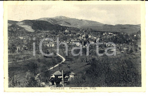Cartolina originale da collezione 1932 GIGNESE VB Veduta panoramica Cartolina postale FP VG 1