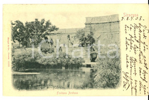 Cartolina originale da collezione 1903 SIRACUSA Fontana Aretusa Cartolina postale ANIMATA  FP VG 1