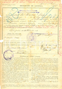 Documento originale, autentico 1918 TORINO WW1 Licenza soldato Dario DE MARTINI Ospedale 0154 DANNEGGIATO 1