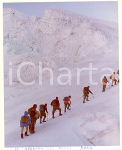 Fotografia d epoca originale 1980 ca VALLE D AOSTA Scalatori marciano in cordata sul MONTE ROSA Fotografia 1