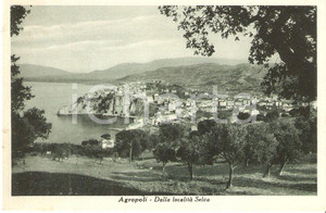 Cartolina originale da collezione 1951 AGROPOLI SA Panorama dalla LocalitÃ  SELVA Cartolina FP VG 1