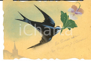 Cartolina originale da collezione 1910 ca FRANCE Cartolina augurale con rondine in volo DIPINTA A MANO 1