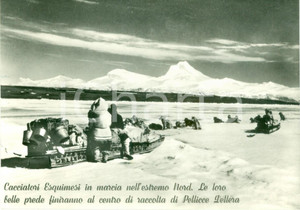 Materiale pubblicitario d’epoca 1960 ca PELLICCE DELLERA Cacciatori Esquimesi a caccia di prede Foto pubblicità 1