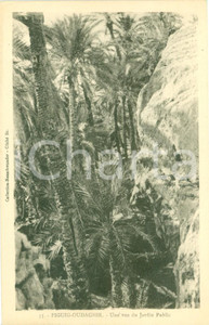 Cartolina originale da collezione 1930 ca ELOUDAGHIR, FIGUIG MAROCCO Particolare del Giardino Pubblico FP NV 1