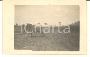 Fotografia d epoca originale 1910 ca FRANCIA Ufficiale di fanteria durante un addestramento a cavallo Foto 1