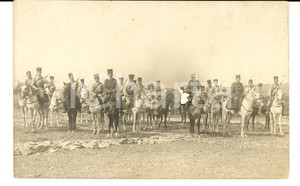 Fotografia d epoca originale 1915 ca FRANCE Zouaves arrivent Ã  cheval Photo GRANDE GUERRE 1